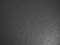 rain light spot - powerpoint backgrounds