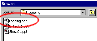t2-brows.gif looping